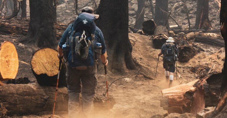Two hikers navigating a charred forest path after a wildfire in McKenzie Bridge, Oregon.