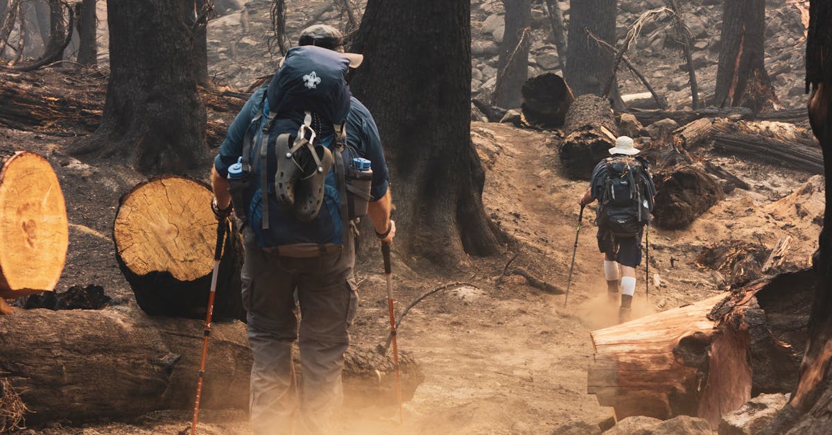 Two hikers navigating a charred forest path after a wildfire in McKenzie Bridge, Oregon.