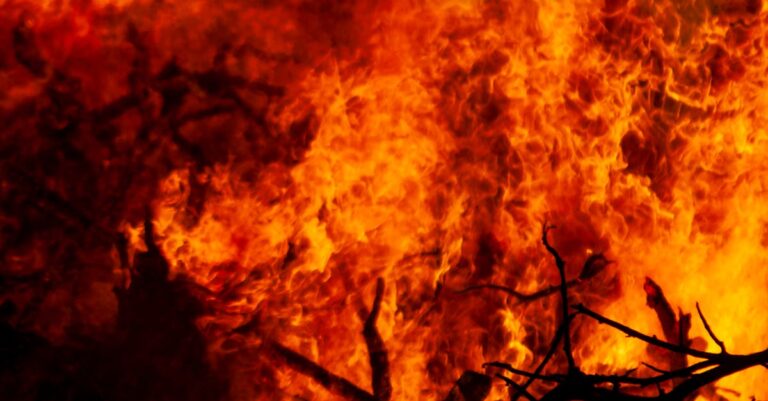 Close-up of a fiery blaze engulfing dry branches, creating vibrant flames and smoke.