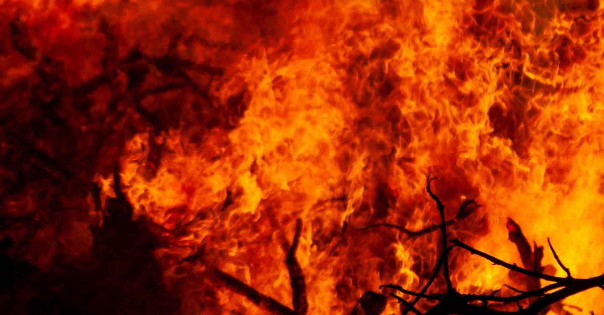 Close-up of a fiery blaze engulfing dry branches, creating vibrant flames and smoke.
