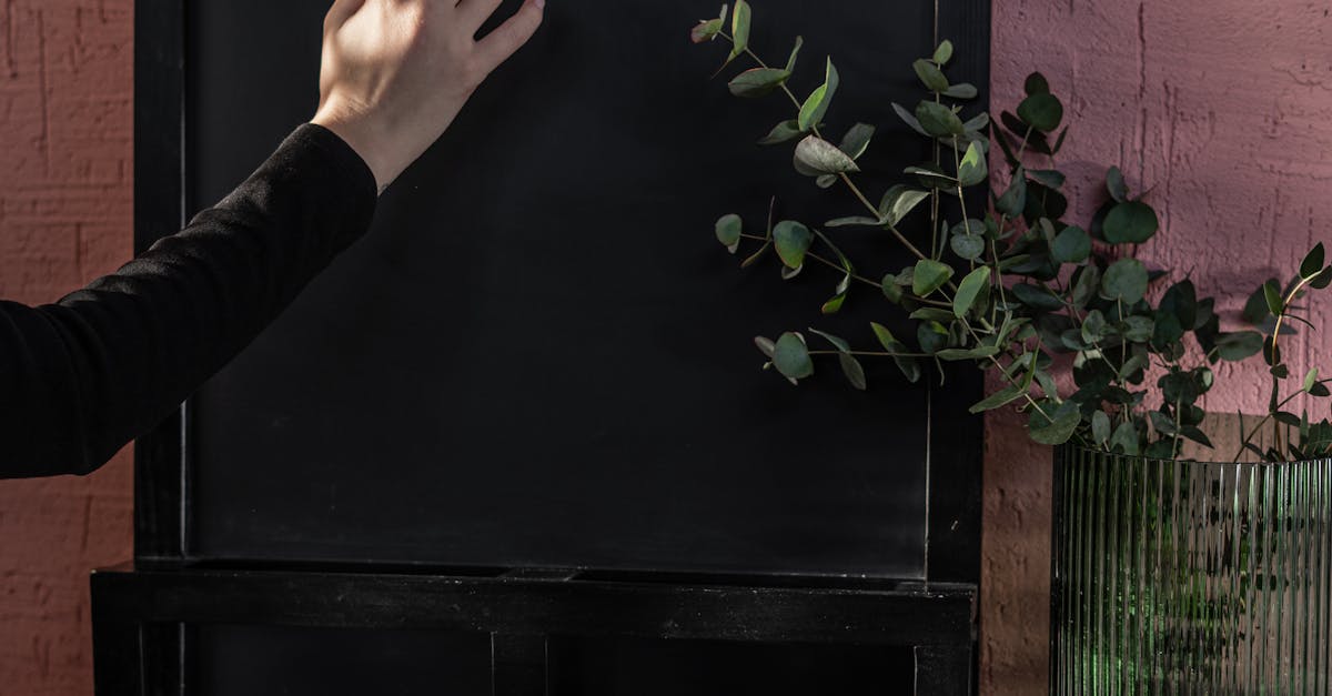 A hand writing with chalk on a blackboard, accompanied by a green plant, set indoors.