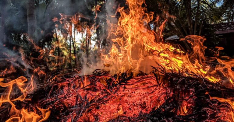 A captivating image of vibrant flames from an outdoor bonfire against a forest background.