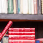 Unthinkable Current Events: Decoding Controversial School Board Decisions in Flagler, North Florida