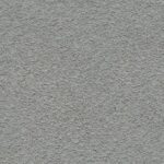 Breaking News: Saint Johns County, North Florida, Schools Stun Nation with Bold Stance Against Book Bans