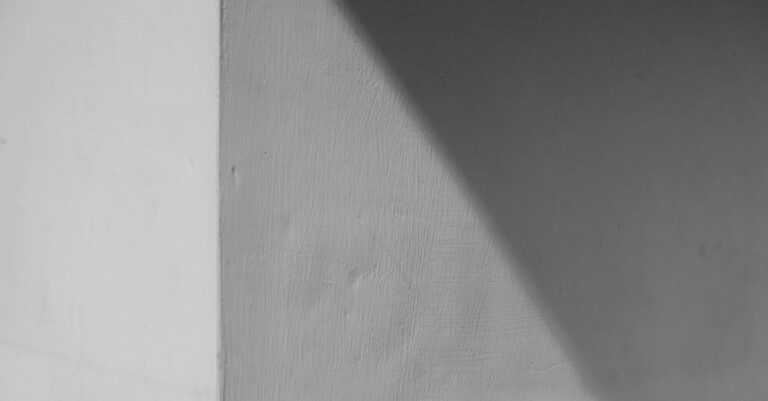 Empowering Saint John's Students: Combating Voter Suppression Through Local Politics