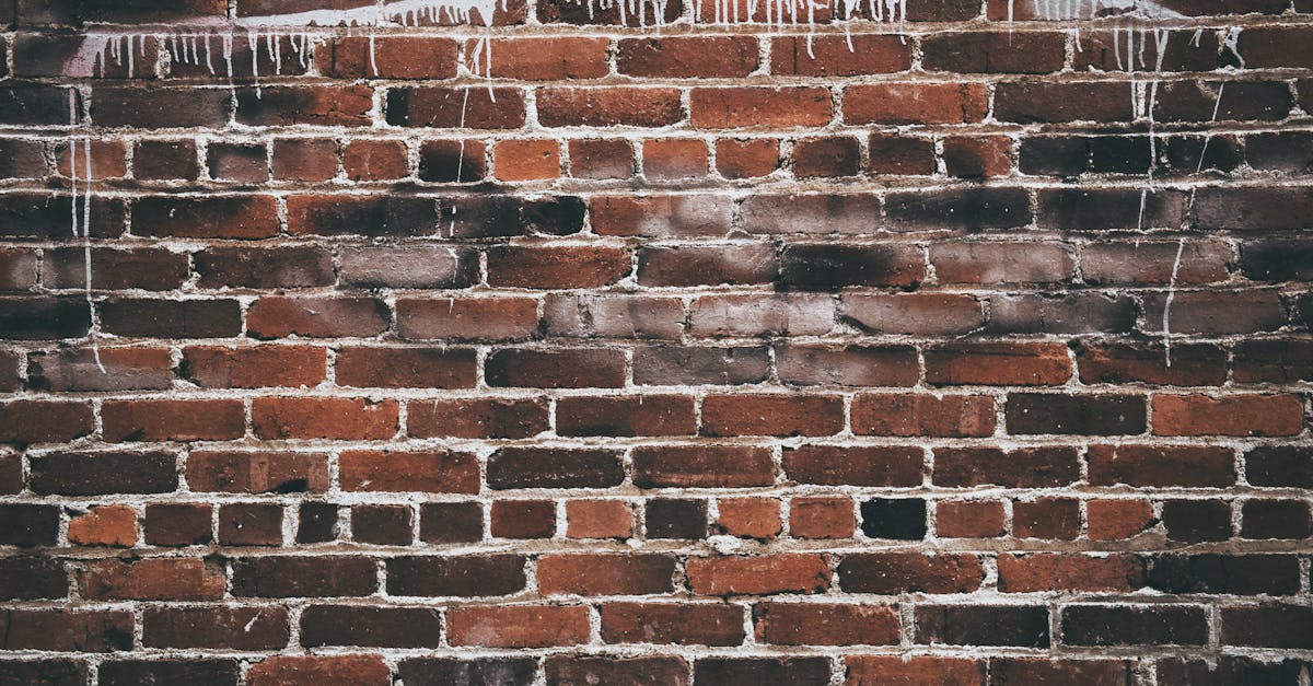 Uncovering the Dark Reality of Voter Suppression in North Florida: The Controversy Surrounding Schools and Disenfranchisement