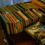 How Intriguing Arguments Are Reshaping School Board Elections in Public Schools