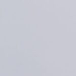 Exploring the Controversy: Book Bans in North Florida's Nassau and Clay County School Boards