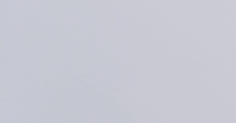 Exploring the Controversy: Book Bans in North Florida's Nassau and Clay County School Boards