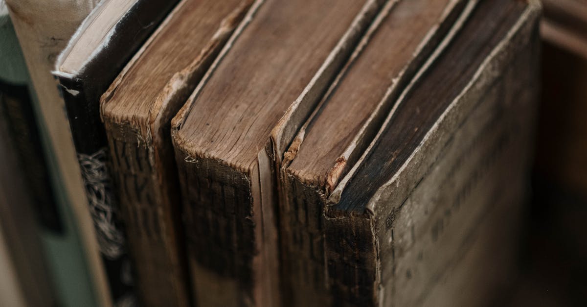 Teacher Training Needs a Reality Check: Why Students Belong in the Lesson Plan